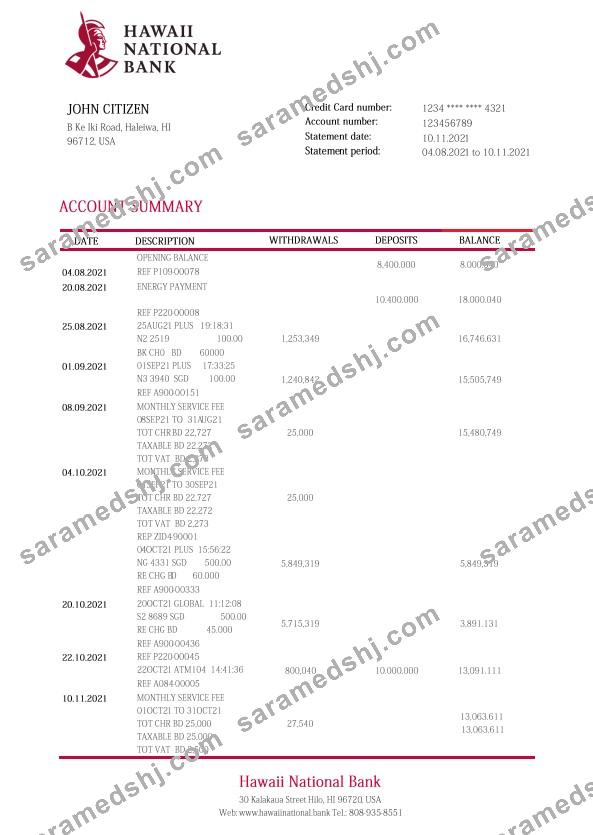 Hawaii National Bank statement template, Word and PDF format